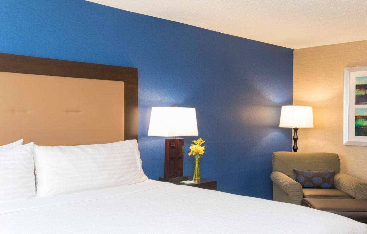 Holiday Inn Chicago - Elk Grove, An Ihg Hotel Elk Grove Village Bagian luar foto
